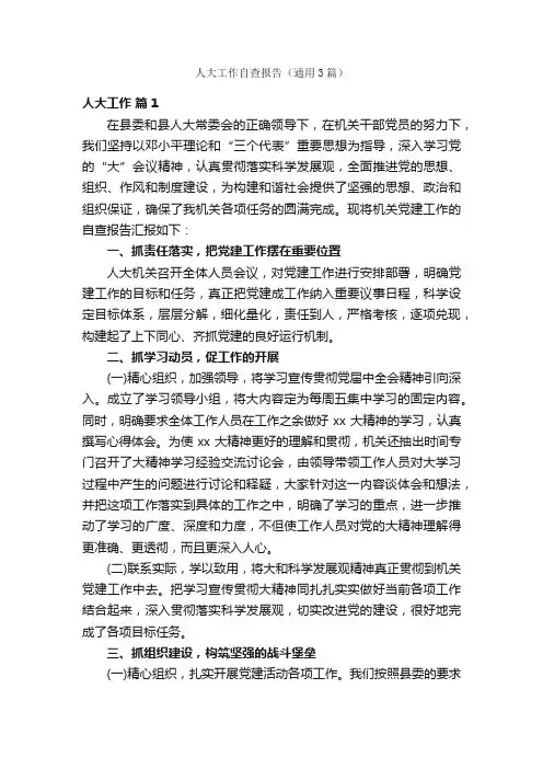 人大工作自查报告（通用3篇）