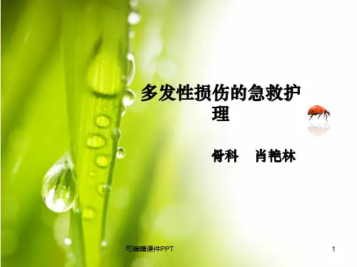 多发性损伤的护理ppt课件