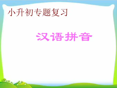 小升初语文知识点专项复习_汉语拼音