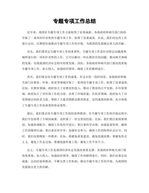 专题专项工作总结
