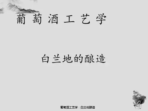 葡萄酒工艺学：白兰地酿造