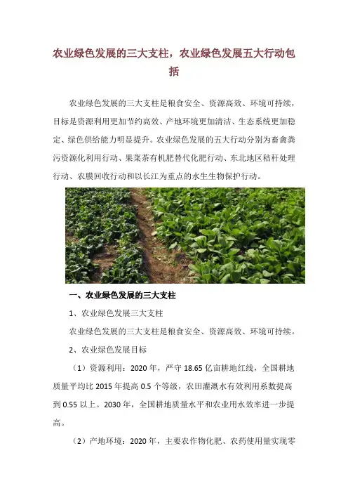 农业绿色发展的三大支柱,农业绿色发展五大行动包括