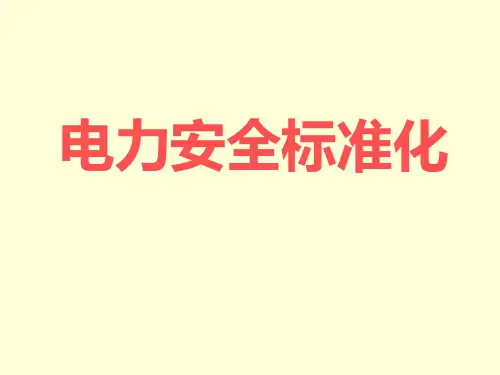 电力安全标准化课件