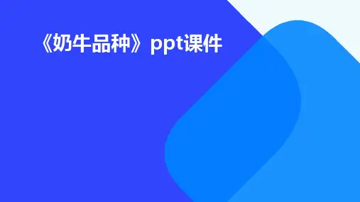 《奶牛品种》课件