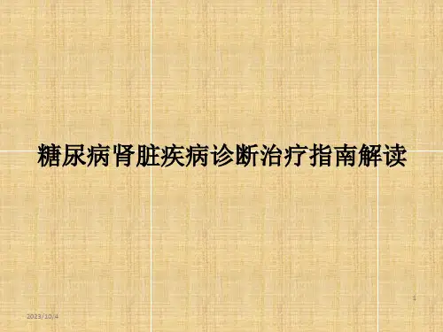 糖尿病肾脏疾病诊断治疗指南ppt课件