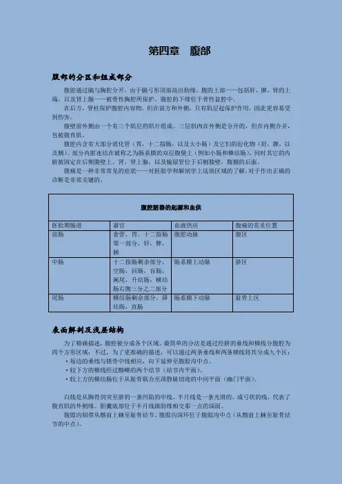 解剖学 第四章