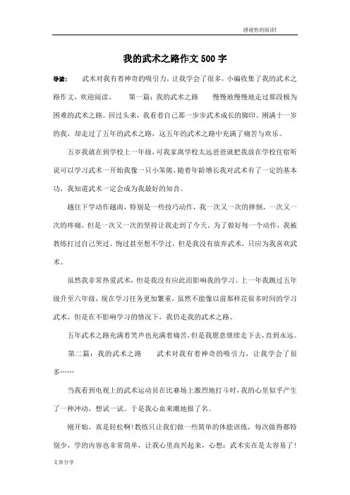我的武术之路作文500字