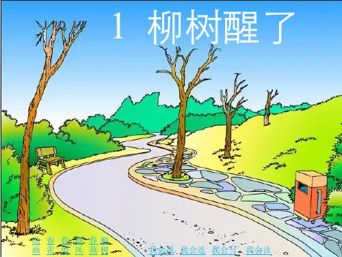 柳树醒了ppt-课件(PPT-精)-24页PPT精选文档