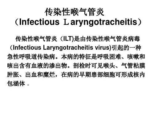 禽病学：传染性喉气管炎