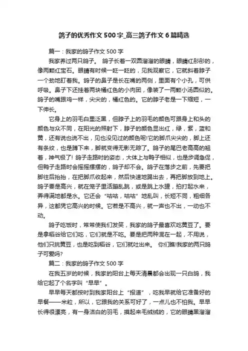 鸽子的优秀作文500字_高三鸽子作文6篇精选