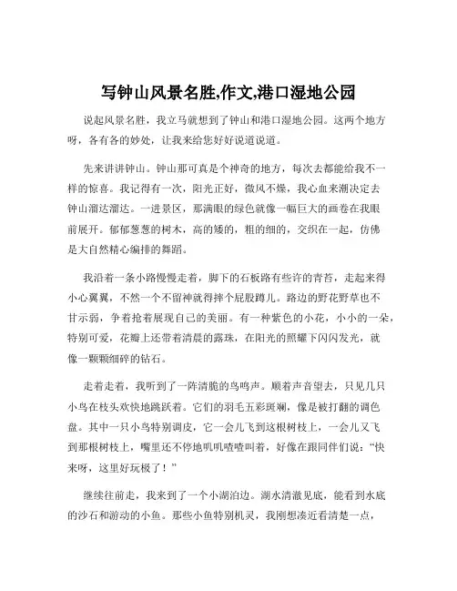 写钟山风景名胜,作文,港口湿地公园