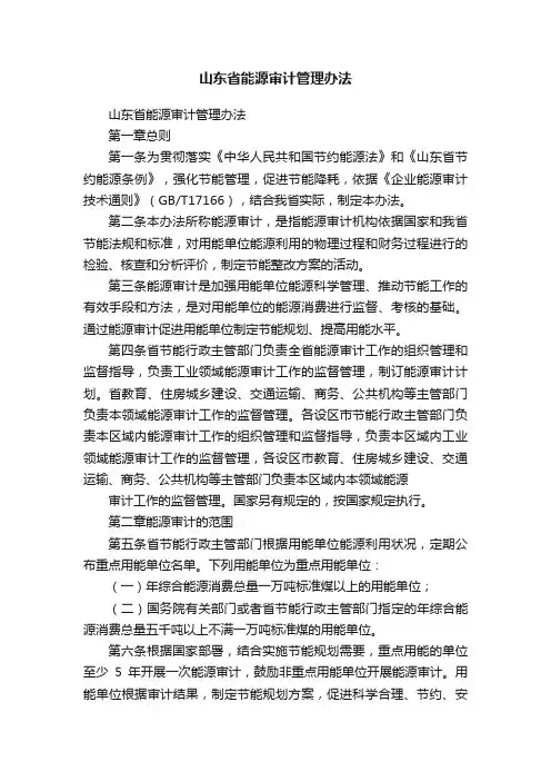 山东省能源审计管理办法