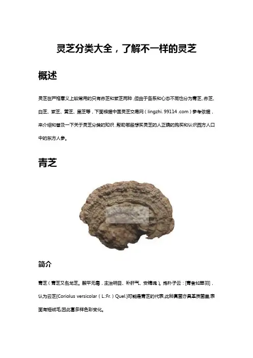 灵芝分类大全
