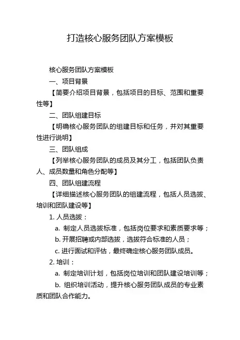 打造核心服务团队方案模板