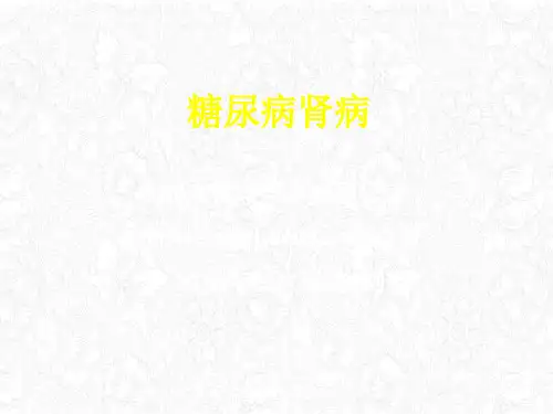 糖尿病肾病诊断及治疗陆菊明课件PPT