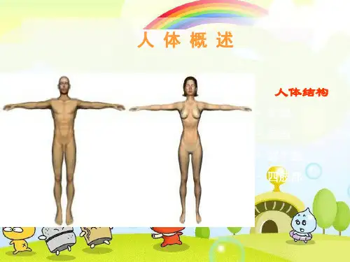 (新)苏教版生物七下《人体概述》公开课(课件) 5