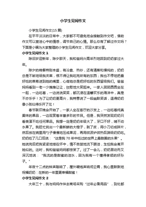 小学生见闻作文