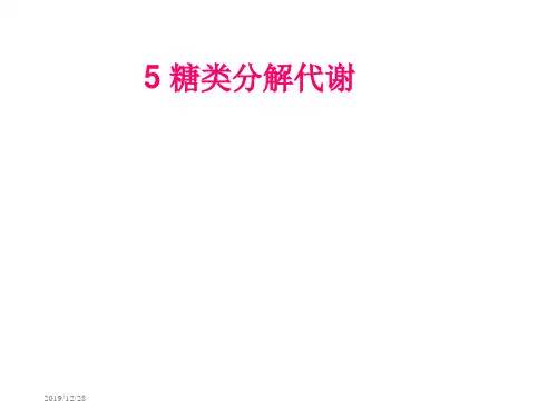 糖类分解代谢ppt课件