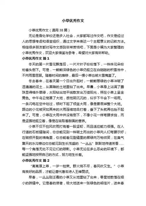 小草优秀作文
