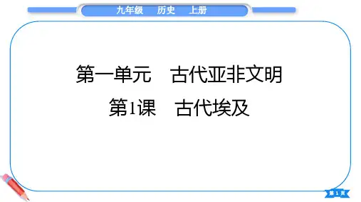 第1课   古代埃及 课件(24张PPT)  2023-2024学年统编版历史九年级上册