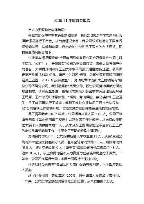 劳动用工年审自查报告