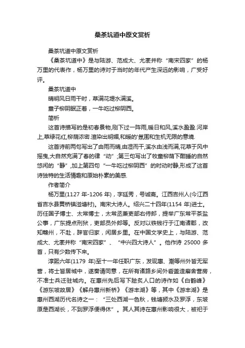 桑茶坑道中原文赏析