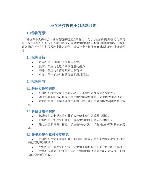 小学科技兴趣小组活动计划