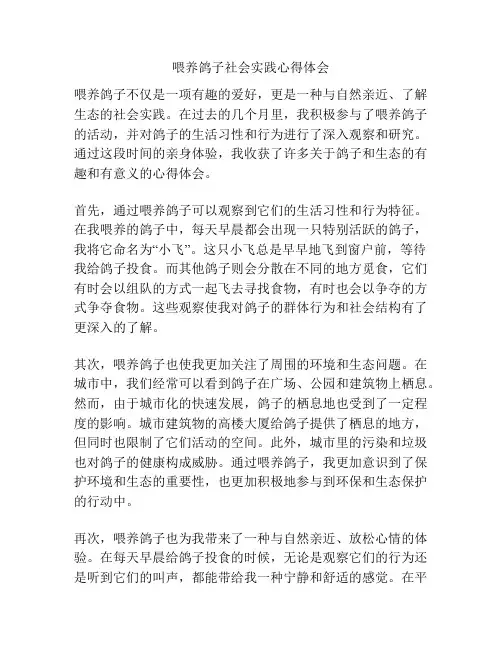 喂养鸽子社会实践心得体会
