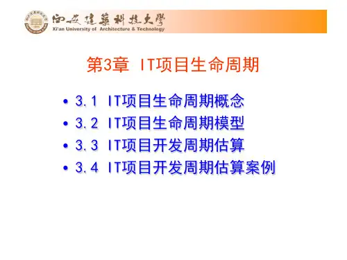 第3章 IT软件项目生命周期