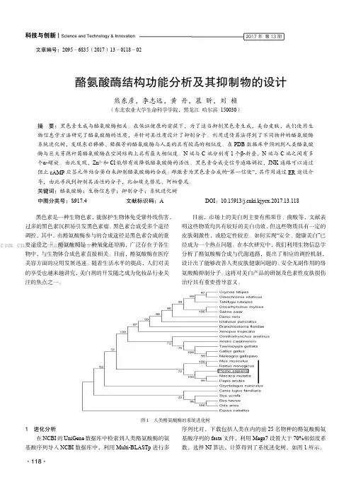 酪氨酸酶结构功能分析及其抑制物的设计