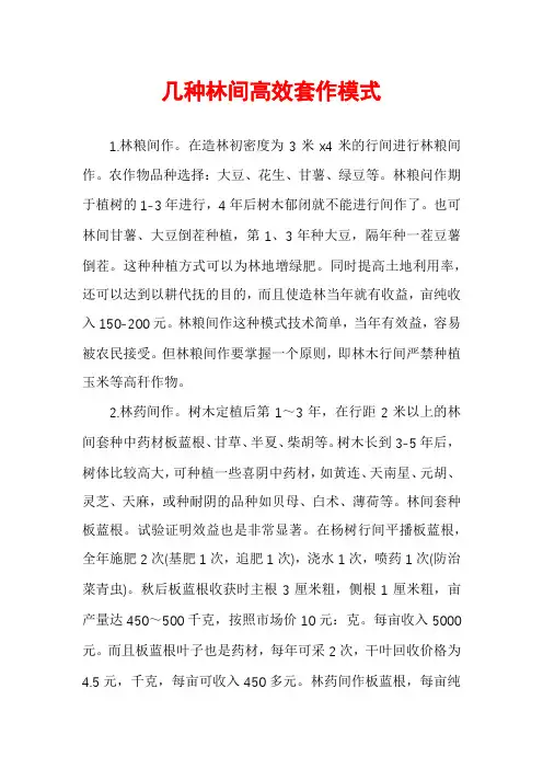 几种林间高效套作模式