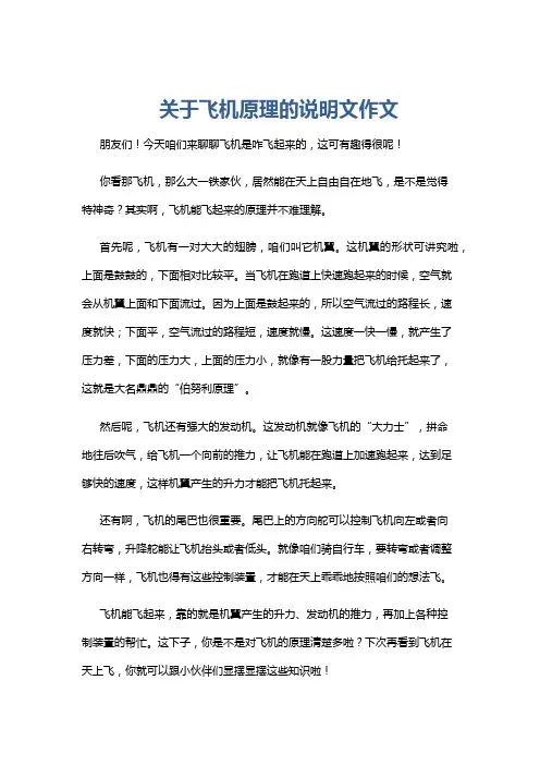关于飞机原理的说明文作文