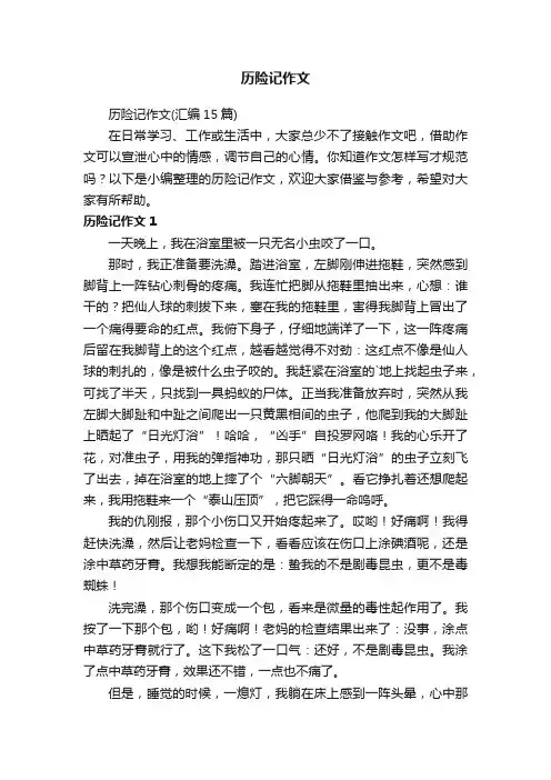 历险记作文