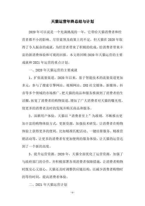 天猫运营年终总结与计划