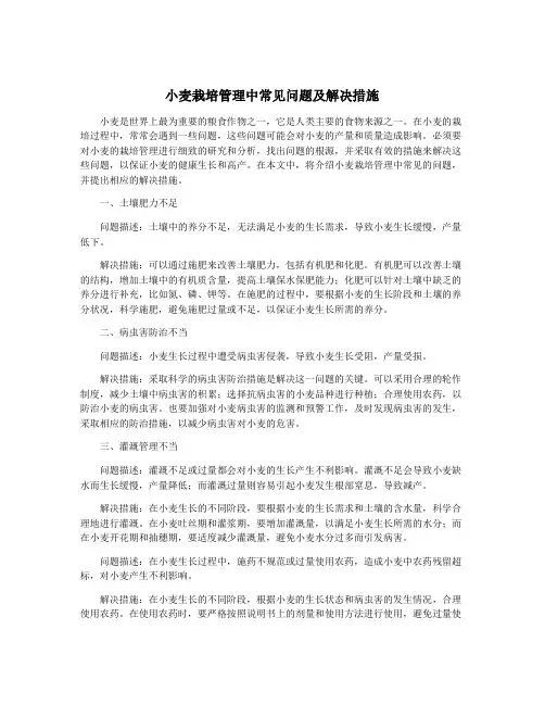 小麦栽培管理中常见问题及解决措施