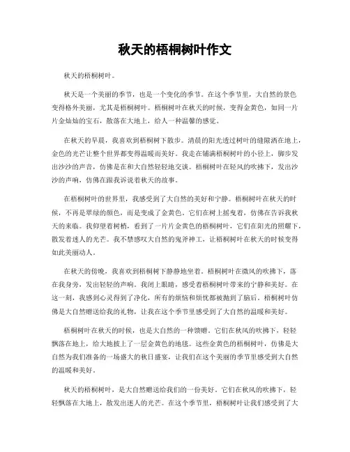 秋天的梧桐树叶作文