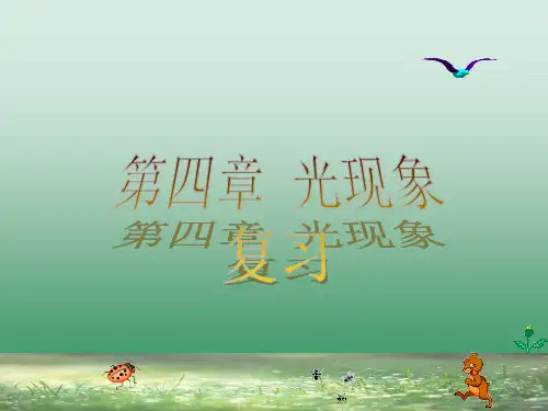 人教版《第四章 光现象》复习课件