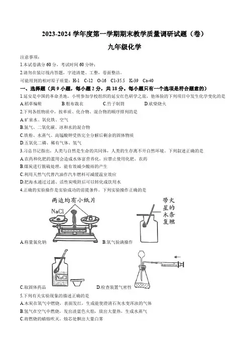陕西省延安市2023-2024学年九年级上学期期末化学试题(含答案)