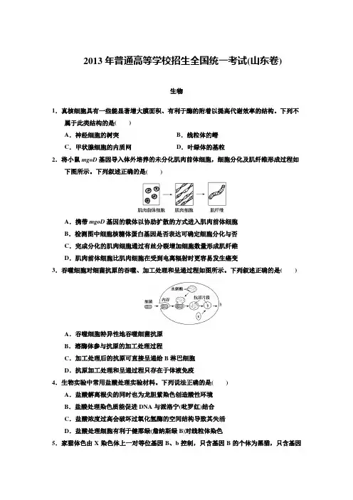 2013年高考生物真题山东卷