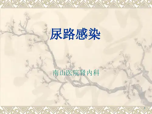 尿路感染病人护理PPT课件