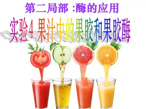 实验4：果汁中的果胶和果胶酶