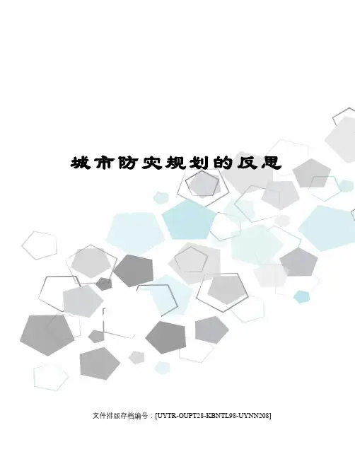 城市防灾规划的反思