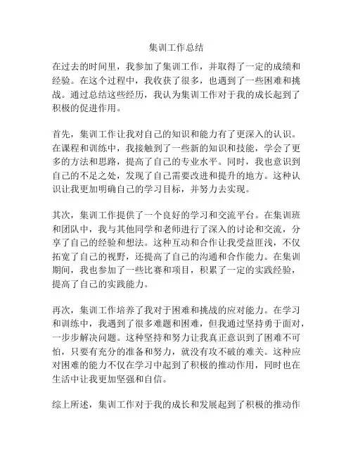 集训工作总结