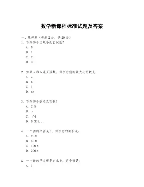 数学新课程标准试题及答案