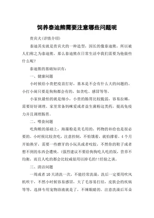 饲养泰迪熊需要注意哪些问题呢