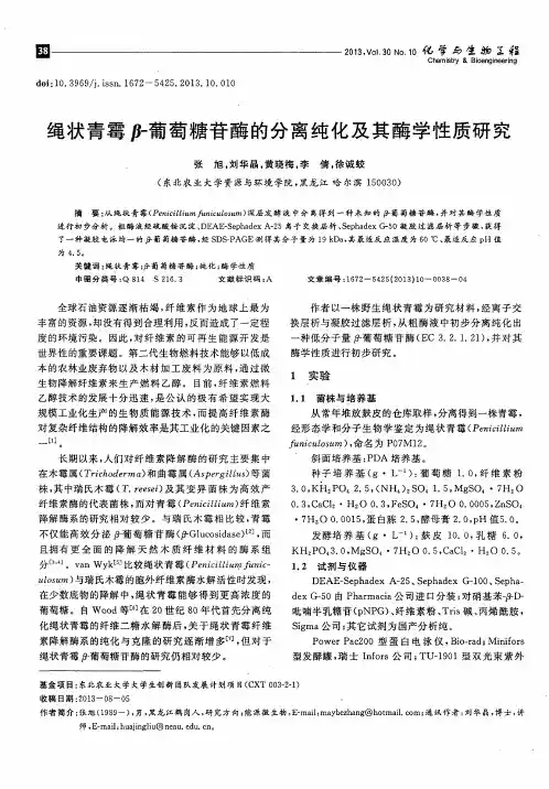 绳状青霉β-葡萄糖苷酶的分离纯化及其酶学性质研究