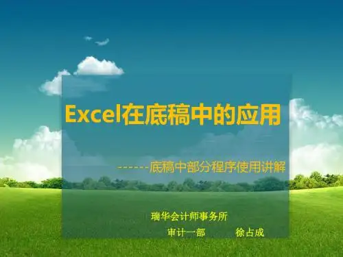 Excel在底稿中的应用(1和2)