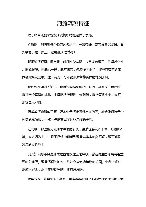 河流沉积特征