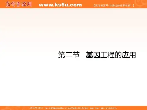 高中生物选修三1.2基因工程的应用课件 共23张