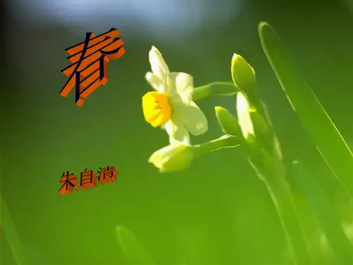 《春》朱自清教学课件(共34张PPT)
